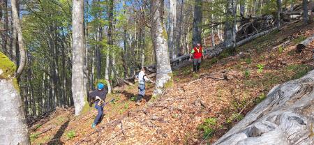 11 mini tabor hb  12